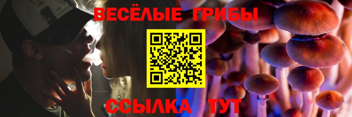 Курчатов  ГАШ  Codein  А ПВП СК кристаллы  Вход с VPN  Меф кристаллы  Cocaine  Канабис 